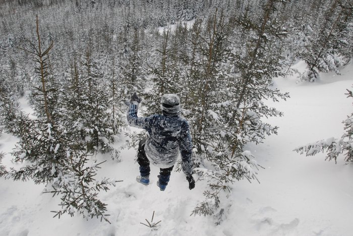 053 Expedice GEMINI 2006